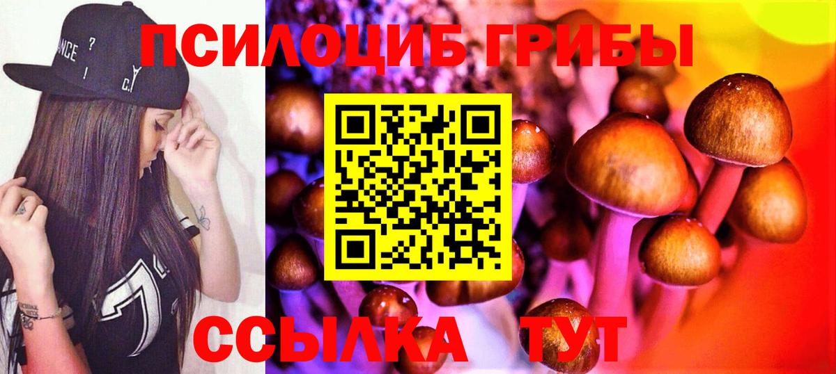 Псилоцибиновые грибы Cubensis  Вход с VPN  Новоалександровск 