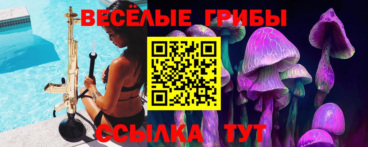 Галлюциногенные грибы GOLDEN TEACHER Новоалександровск